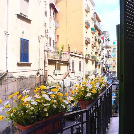 Bed & Breakfast Macchiato Boutique 2*